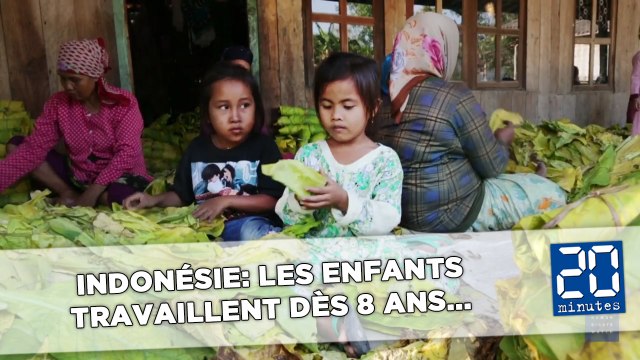 Indonésie: des milliers d'enfants travailleraient dans les plantations de tabac