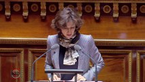 Discours d'Audrey Azoulay le 24 mai 2016 lors de l'examen du projet de loi création en 2e lecture