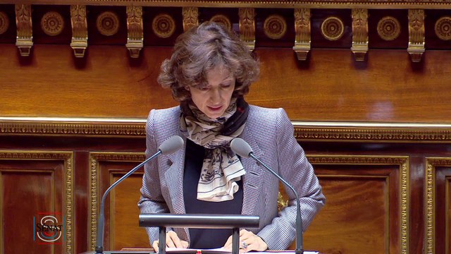 Discours d'Audrey Azoulay le 24 mai 2016 lors de l'examen du projet de loi création en 2e lecture
