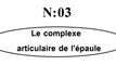 Anatomie de l'articulation de l'épaule - 04 -