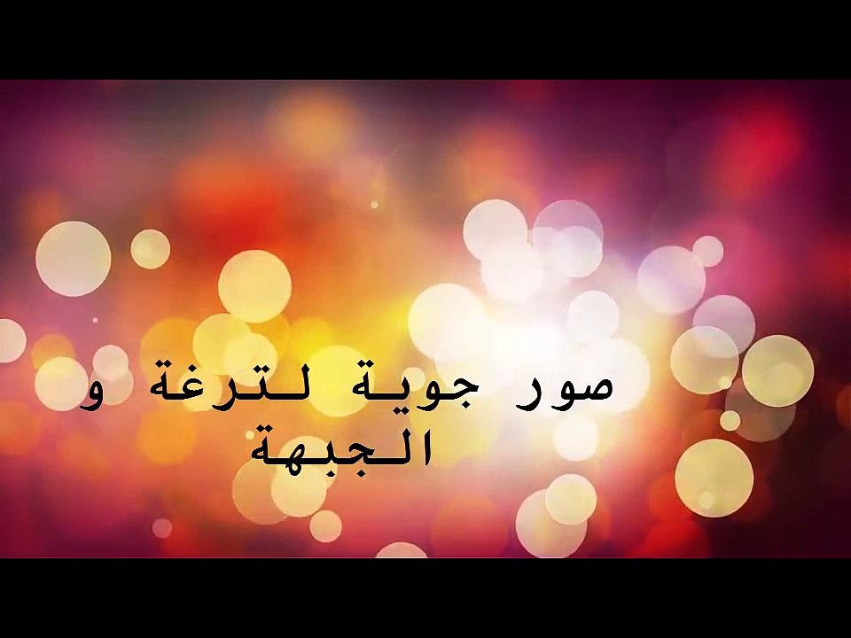 JEBHA ET TARGHA