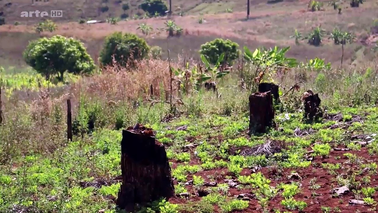 Un Vaisseau Spatial Nommé Terre e02