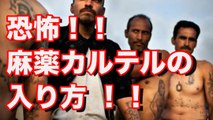 【犯罪組織】メキシコマフィア！麻薬カルテルの入り方のQ&Aが怖過ぎる！！■アウトロー伝説