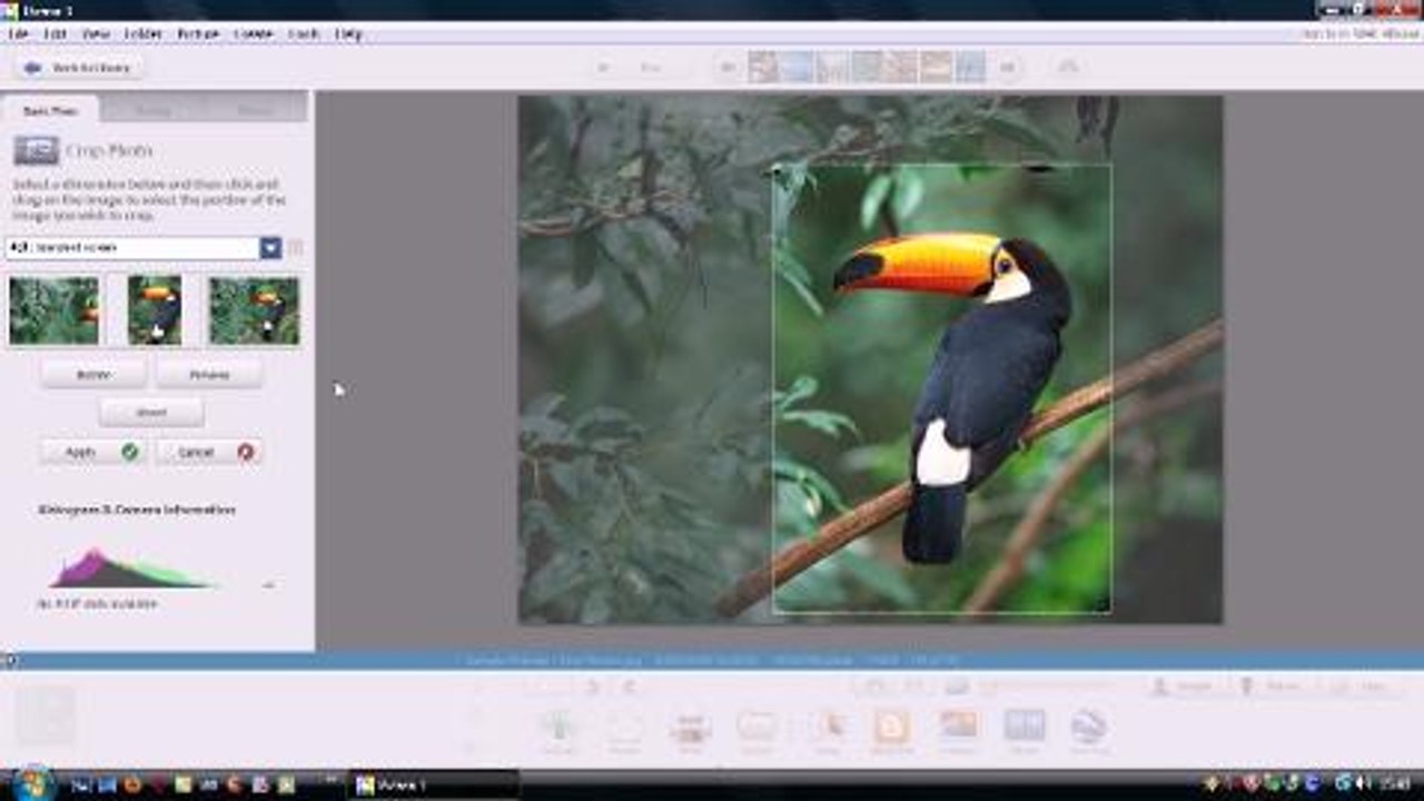 Basic photo editing in Picasa