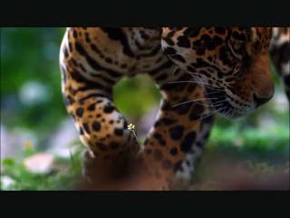 BURDEN of LIFE - At The Heart Of Infinity from IN CYCLES Album by 2016 HD & HiFi