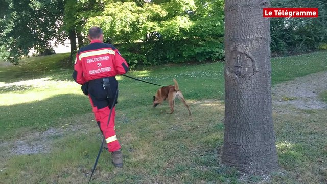 Vannes. Exercice de recherche avec un chien des sapeurs-pompiers