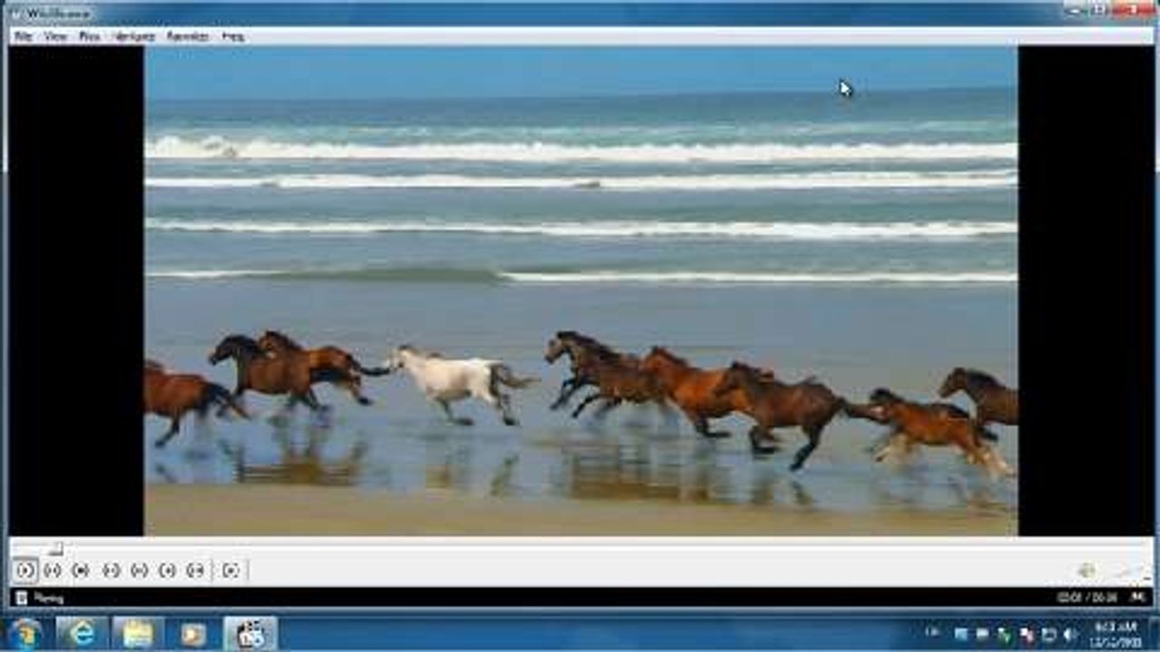 Die wichtigsten Video- und Audiocodecs auf einmal installieren