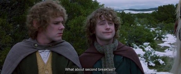 "We do not stop 'til nightfall" - The Lord of the Rings: The Fellowship of the Ring