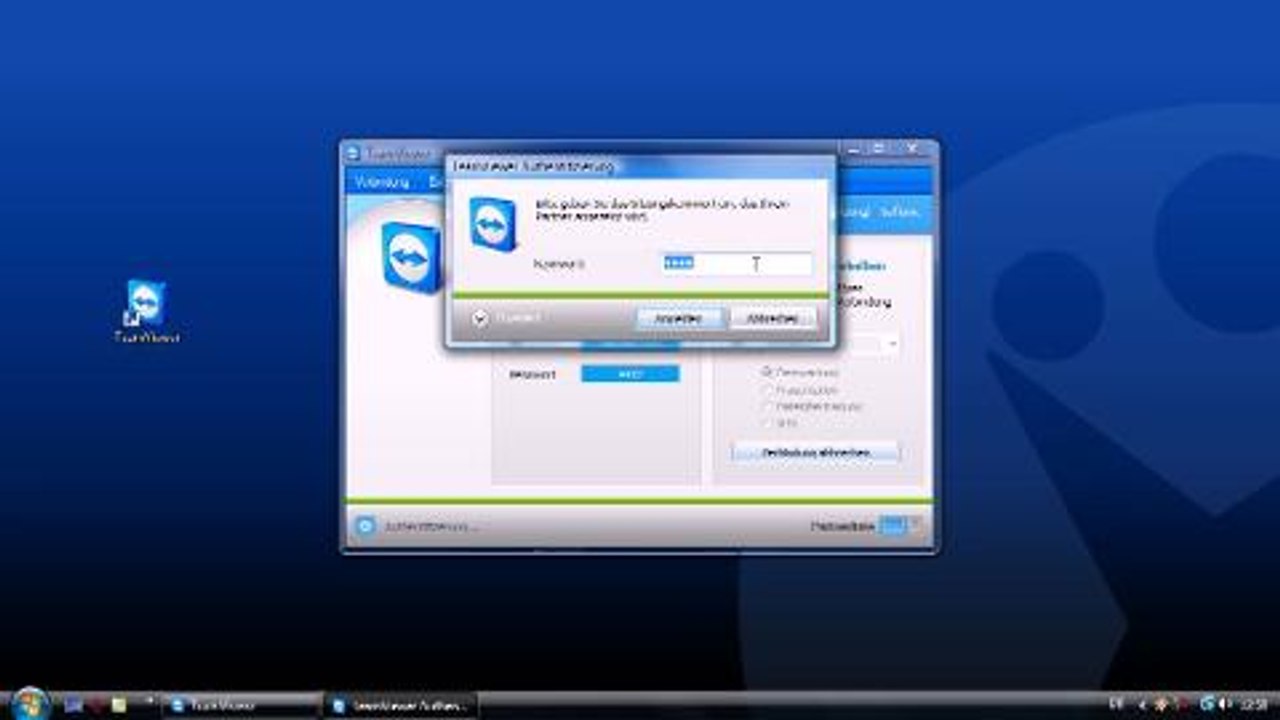 TeamViewer - Anleitung