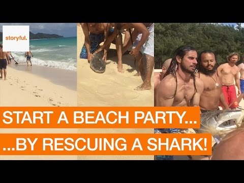 Party-Goers Rescue Distressed Shark at Beach