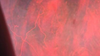 Anomaly: Warzone Earth HD Trailer