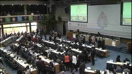 La ONU aboga por proteger la naturaleza para prevenir conflictos y pobreza