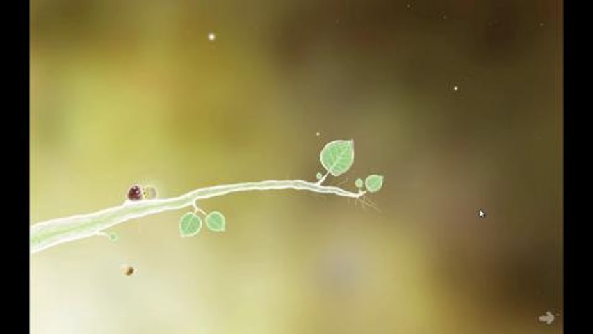 Video Botanicula NL