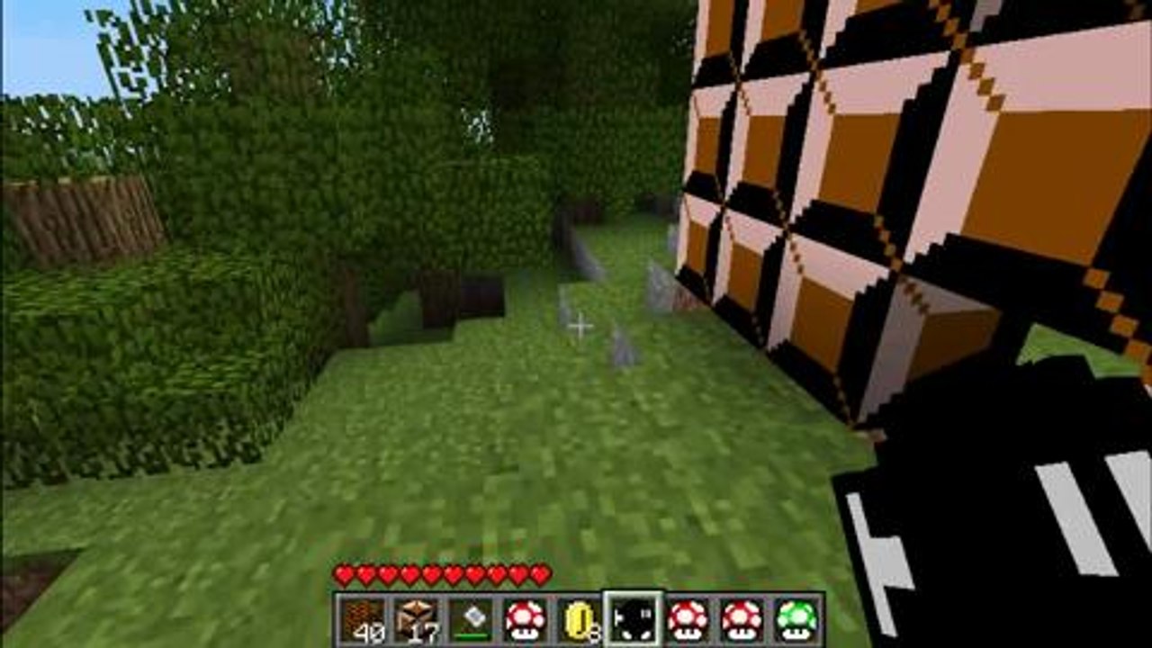 Super Mario Mod pour Minecraft