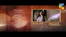 Pakeeza Episode 17 Promo HD HUM TV Drama 26 May 2016