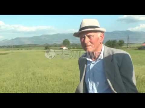 Aksident i rëndë në aksin Korçë-Pogradec, makina përplas për vdekje fëmijën- Ora News