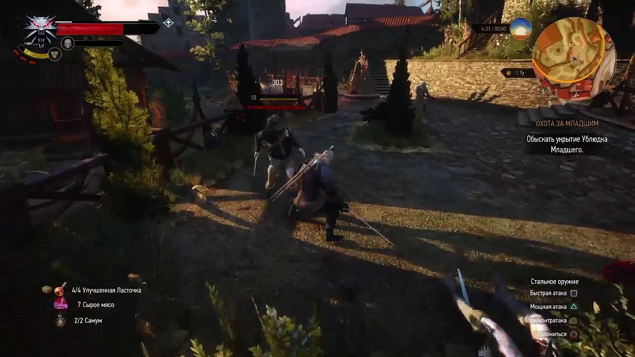 Witcher 3 (14)