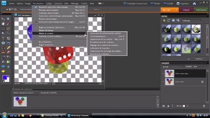 Photoshop Elements: Comment modifier une seule couleur dans une image
