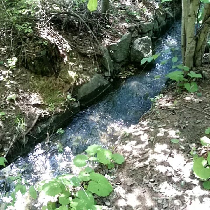 Waldweg in Laas/Passeggiata nel bosco a Lasa