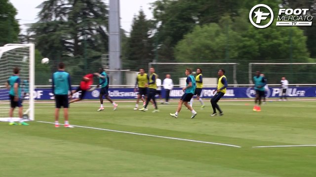 L'enroulé de Ben Arfa, la volée acrobatique de Schneiderlin