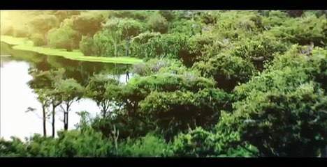 Tropicana Coco Quench Final TVC 30s mov