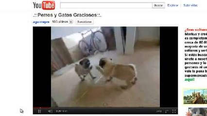 Descarga vídeos de Youtube desde el navegador