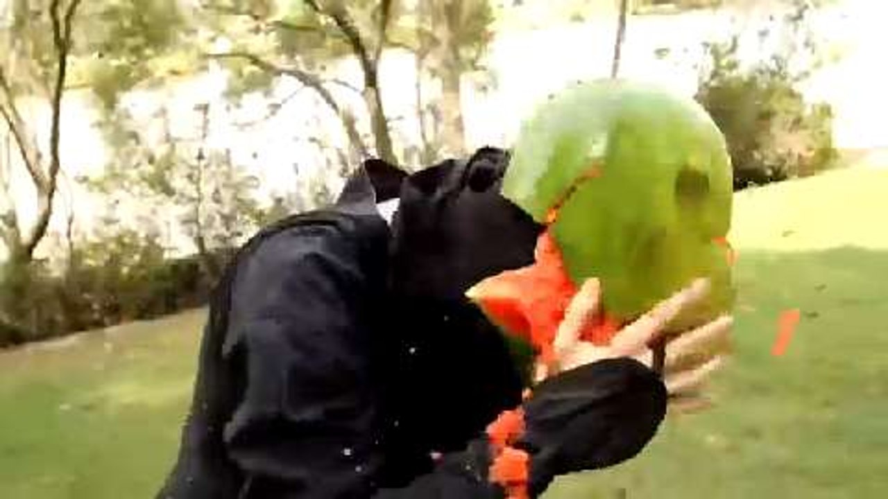 Fruit Ninja - Tráiler