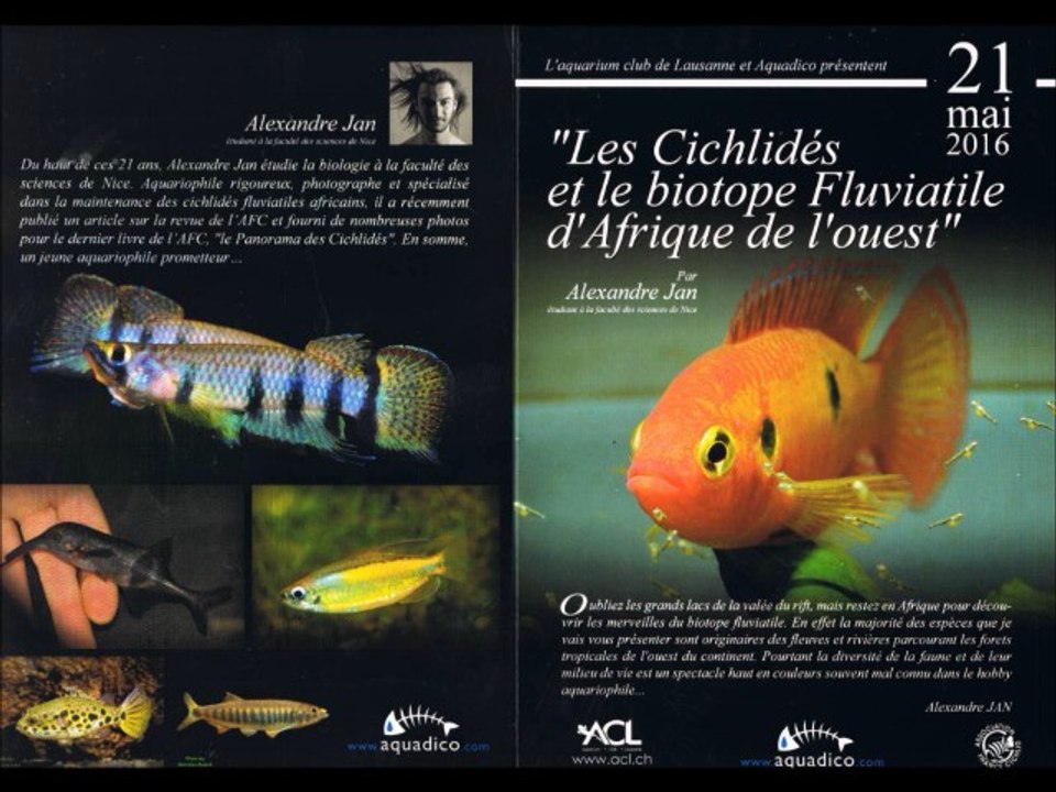 Les Cichlidés et le biotope fluviatile d'Afrique de l'Ouest - par Alexandre Jan