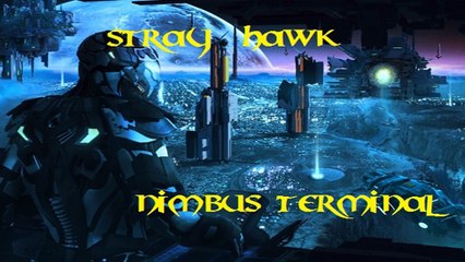 STRAY HAWK Nimbus Terminal