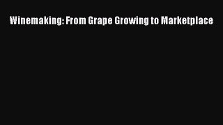 Read Winemaking: From Grape Growing to Marketplace PDF Free