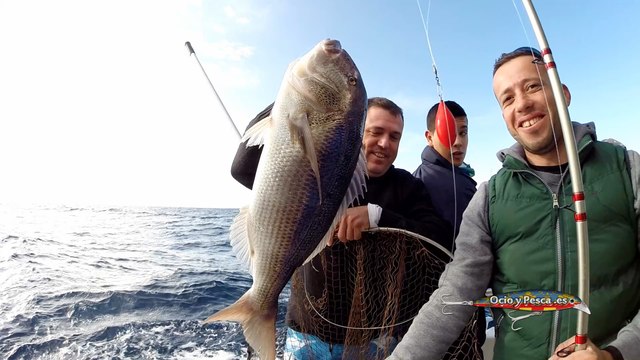 Islas Columbretes - Castellón