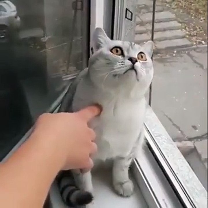 وين الاخ سرحان