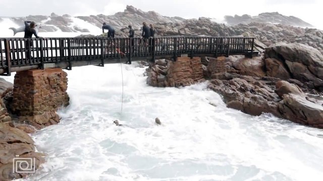 Ces tarés plongent dans une mer déchaînée, en plein milieu des rochers.