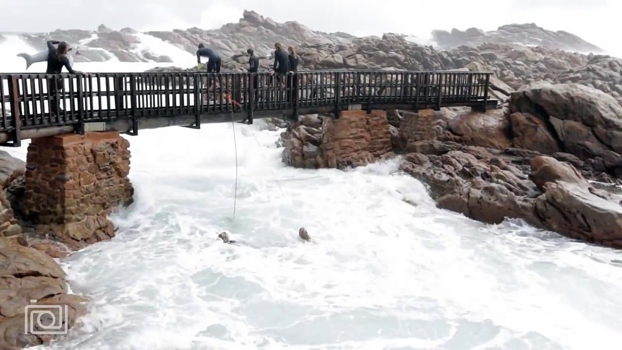 Ces tarés plongent dans une mer déchaînée, en plein milieu des rochers.