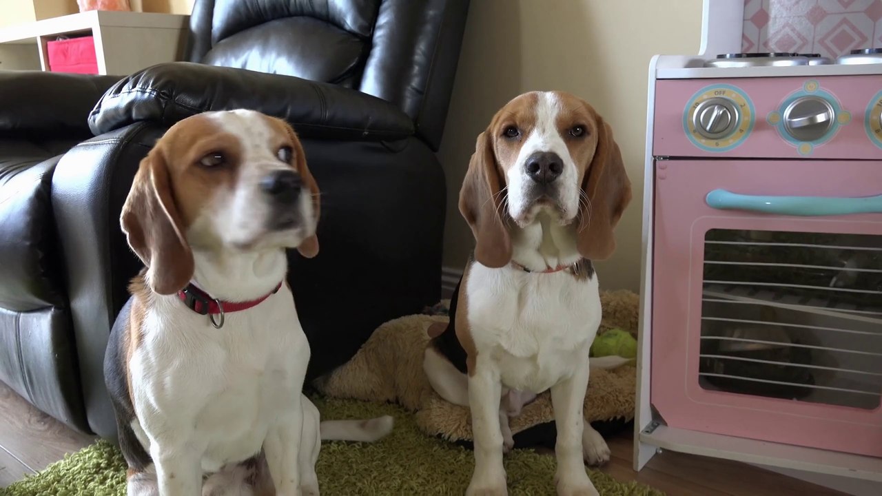 Mais qui a mis la maison dans un tel état??? Ahaha