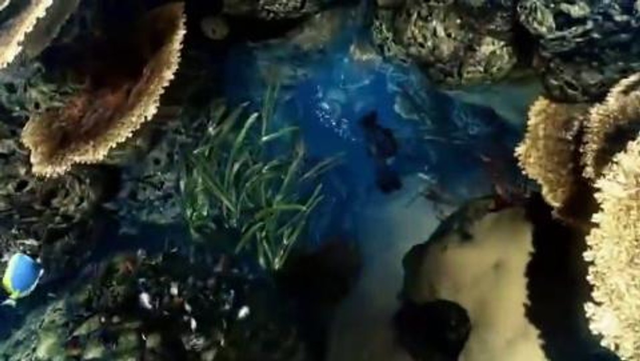 Call of Duty: Ghosts - Trailer