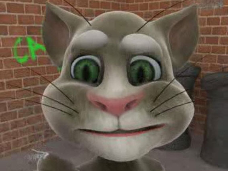 Así es Talking Tom Cat
