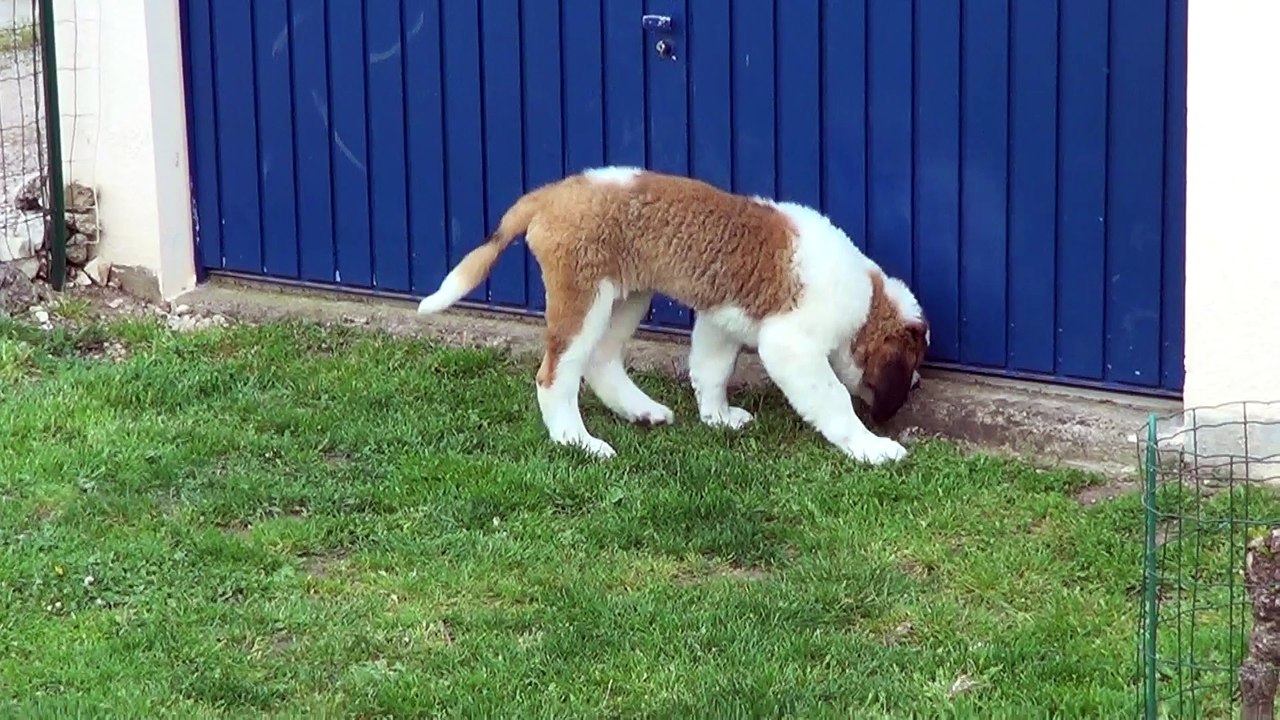 MINNIE et HENDJIE sa maman 2016-05-26