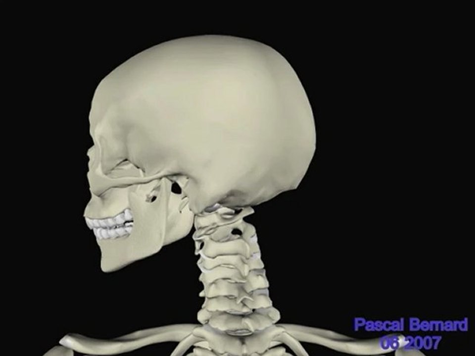 Rotation RC complet ARR