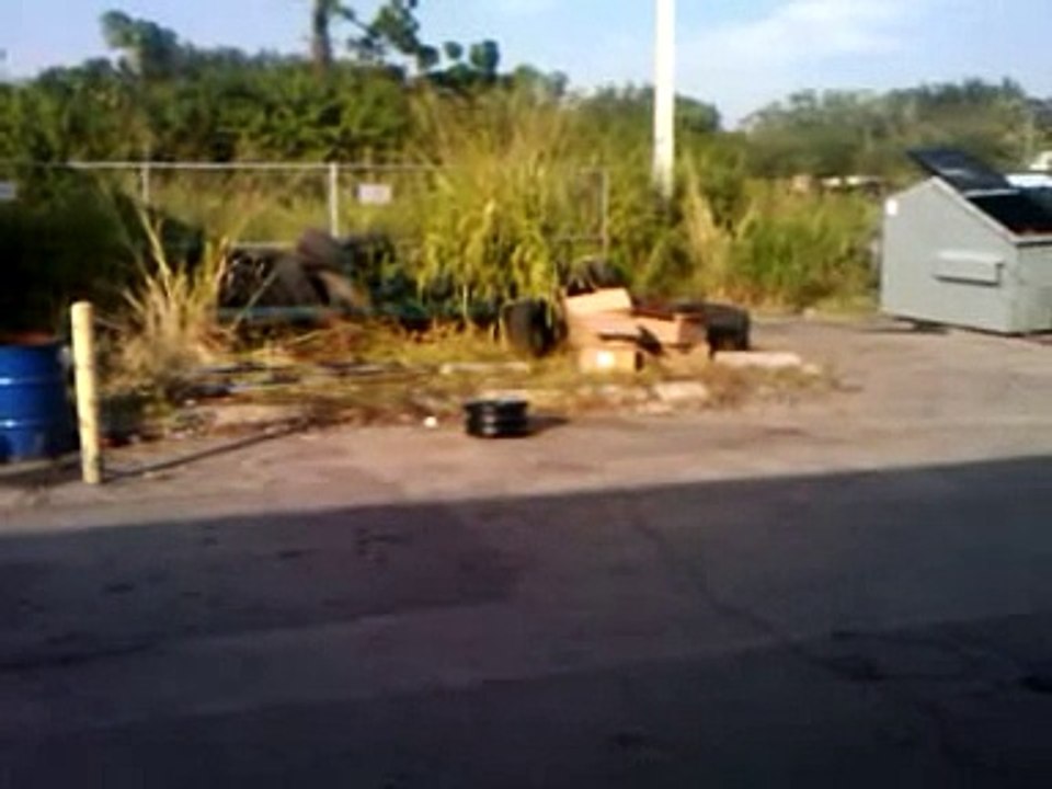 video-2009-11-20-15-23-39