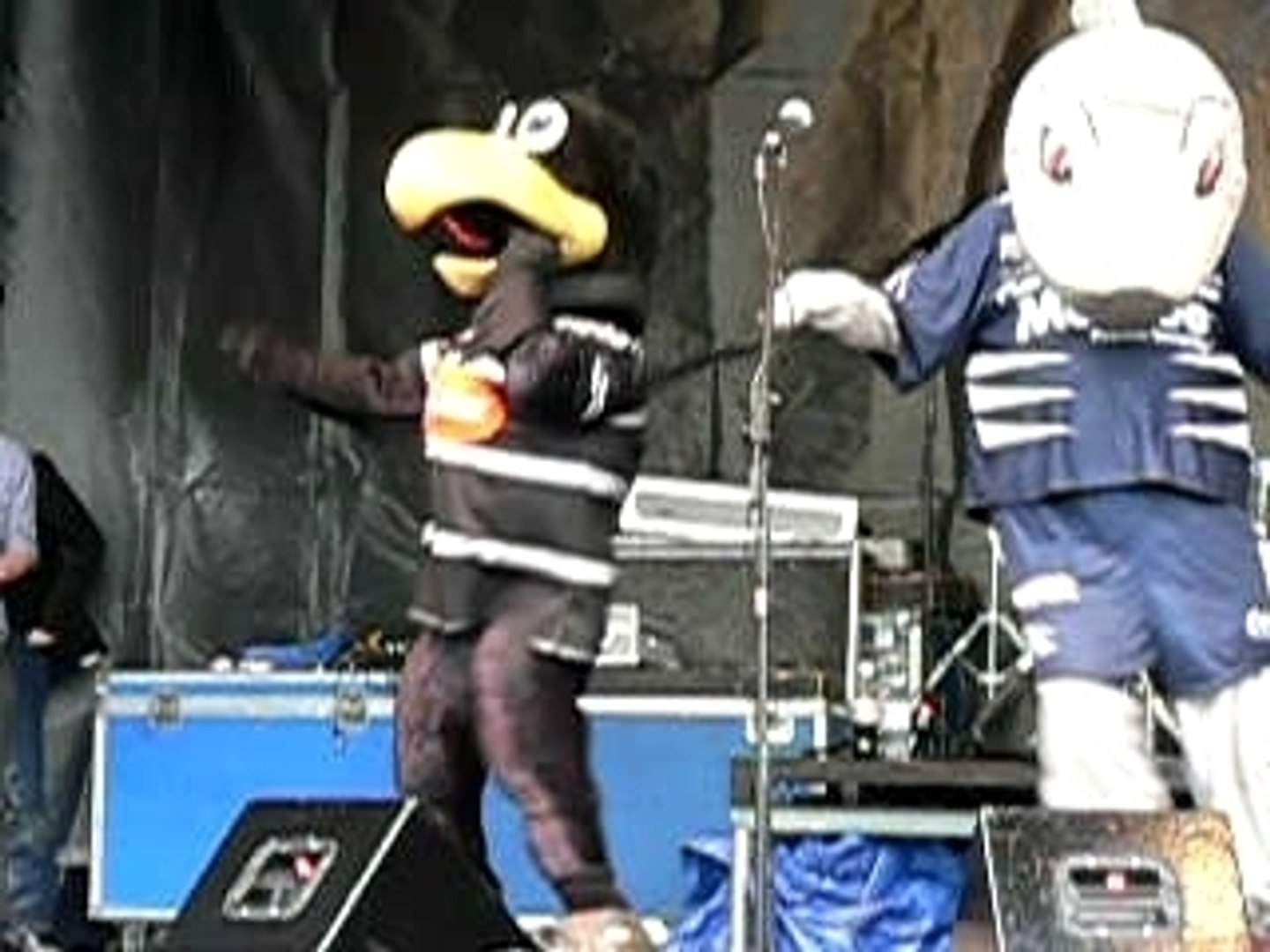 Flash the Falcons 2