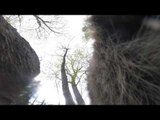 Cheeky Raccoon Steals GoPro, Thinks It's Food