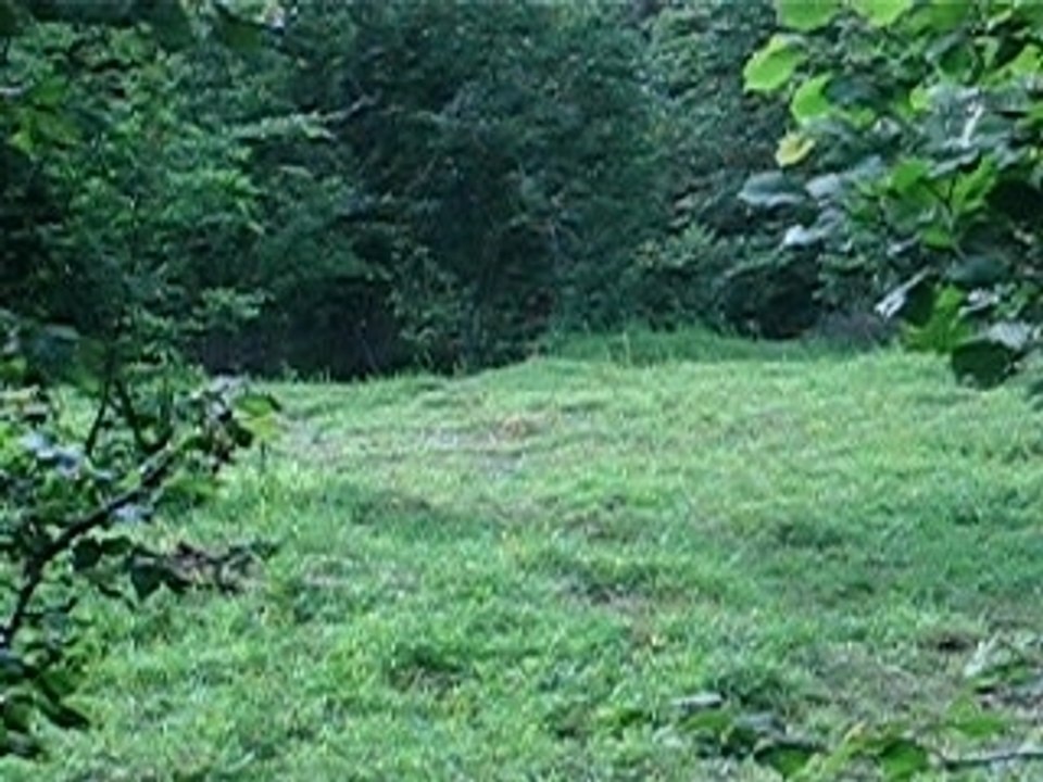 2JUIL07 070