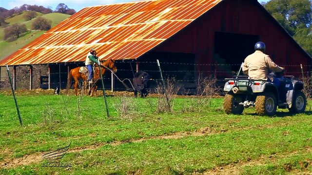 Honda Foreman and Rancher ATVs at Work