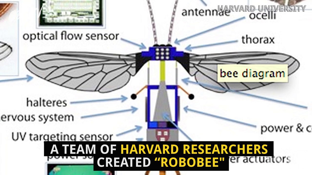 Micro-Robot Could Replace Bees
