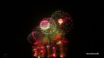 [HD]Akagawa Fireworks 2011 Revival Fireworks 2011年 赤川花火大会 復興花火 マルゴー