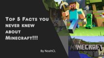 Top 5 Facts you never knew about Minecraft!!!