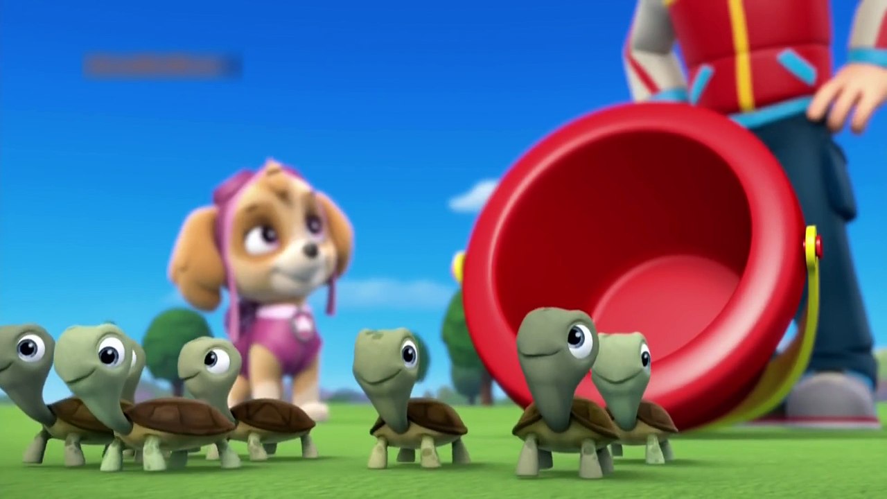 new-cartoon-movies-2016-pups-save-the-camping-trip-pups-and-the