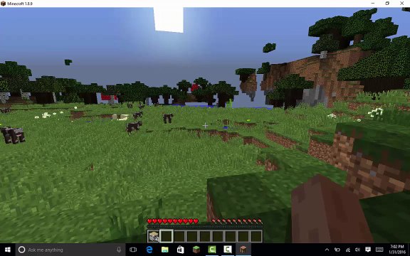 How to Use The F3 and F5 Keys on The Normal Minecraft on Windows 10