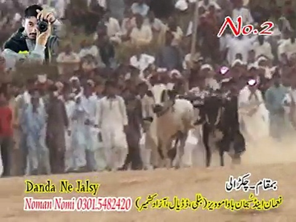 T.A.M.A.S.H.A 2nd Time 32.38 At Chakrhali 26.05.2016 Owner Ch Shafiq . Ch Azad , Ch Ayaz Chullo Mirgala Dand Kaliya Ak